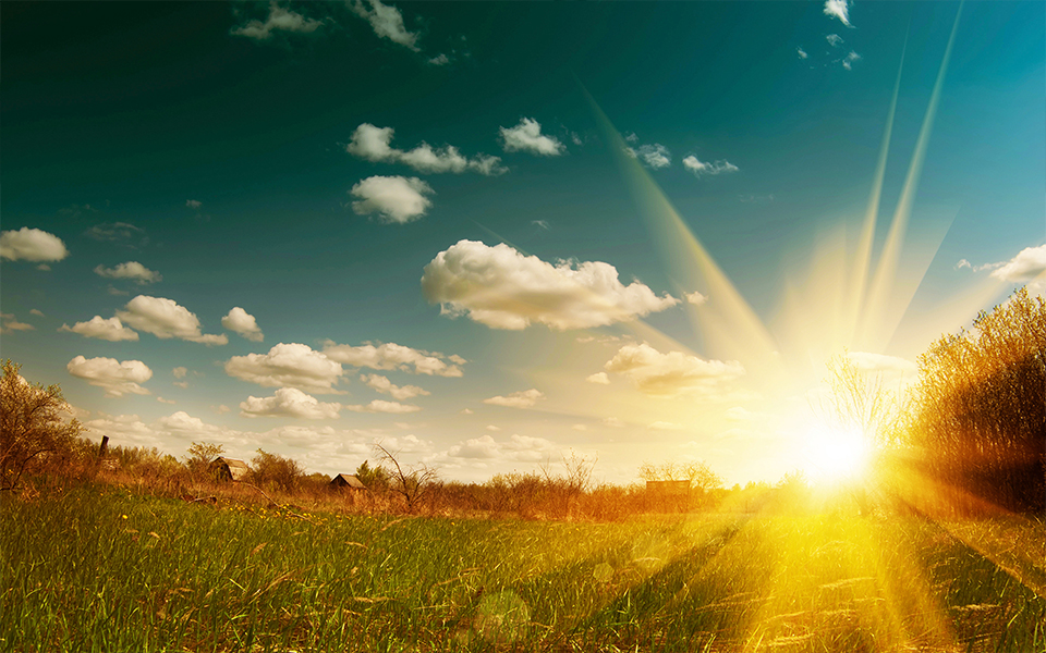 Watkins Rural Chartered Surveyors & Agricultural Valuers